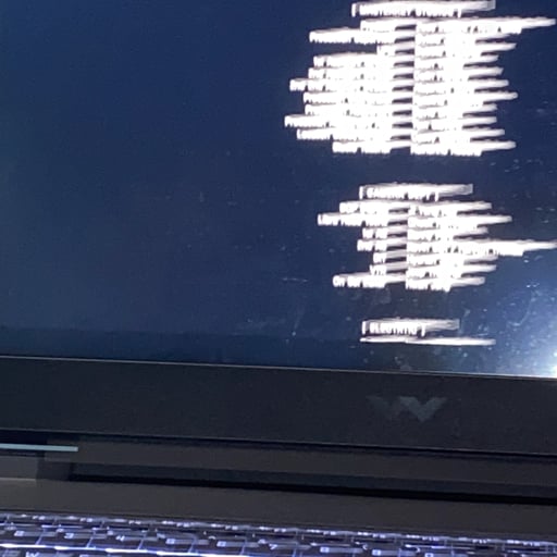 bom garoto obediente