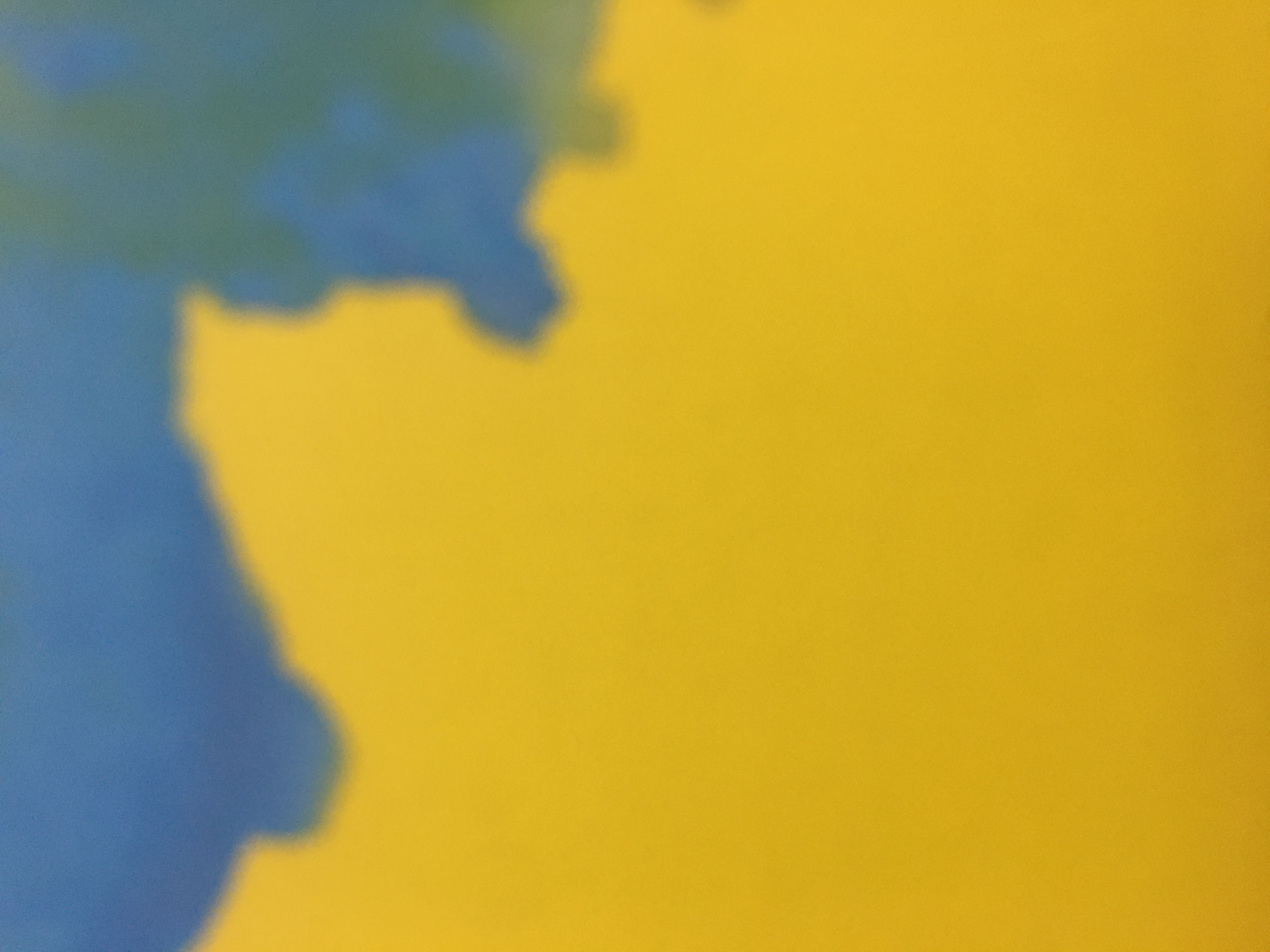 the-hedghog-the-junior-free-ai-app