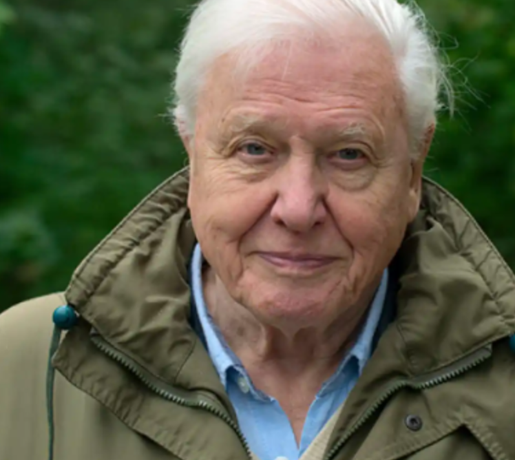 david-attenborough-free-ai-chatbot